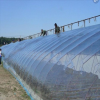 Uv resistant Ldpe greenhouse Film