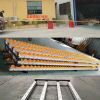 Liangzo fluent roller truck unloading chute conveyor track conveyor slide