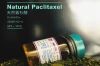 Natural Paclitaxel APIs CAS 33069-62-4 98%-102% EP USP CP antitumor pharmaceutical