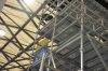 OEM Building Construction Ring Lock Scaffolding Steel Ringlock Scaffolding