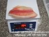 Tilapia Fillets, Skinless, boneless, well trimmed, CO treated, IQF