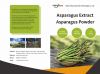 Asparagus Extract