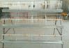 Chicken Layer Cages Battery Cages for Poultry