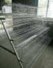 Chicken Layer Cages Battery Cages for Poultry