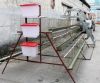 Chicken Layer Cages Battery Cages for Poultry