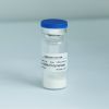 Mass Production Taq DNA Polymerase Powder Stable