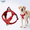 Dog leash dog  chain chest strap 