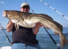FF marine fish peptide...