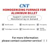 HOMOGENIZING FURNACE (Customized model, please contact customer service in advance)