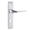 Zinc Alloy Door Handle...