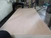 commercial plywood/ bi...