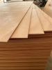 commercial plywood/ birch plywood/ bintangore plywood/ pencil cedar/ okoume plywood/...