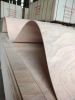Bending plywood/ curve...