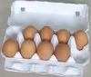 egg tray/egg packaging...