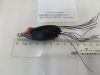 fishing frog fishing m...