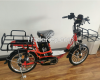 20INCH ELECTRIC BICYCLE DELIVERY TROLLEY MOTORBIKE WITH 48V400W Brushl