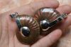 Iridescent Ammonite wi...