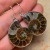 Natural  ammonite fossil with druzy  pendants