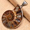 Natural  ammonite fossil with druzy  pendants