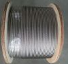 Steel wire rope