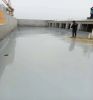 Roof Wall Pool Building Coating Polyurea Waterproof Coating