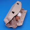 Very competitive paper pulp egg cartons, brown pulp egg box, custom color paper pulp egg trays, pulp egg container