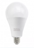 LED Bulb