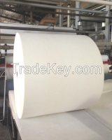 Spunbonded Polyester Mat From China
