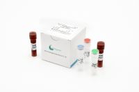 COVID-2019 Nucleic Acid Test kit (PCR  NAT)   99% accordance rates  NMPA certificated aprroval