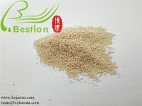       Adsorption Resin for Coking Wastewater Treatment