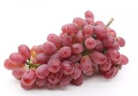 Chinese Red Globe Grapes Fresh Style
