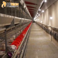 Retech Factory Direct Supply H Type Full Automatic Rearing Equipment