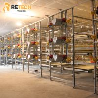 Retech Design Morden Automatic Broiler Chicken Cage For Sale