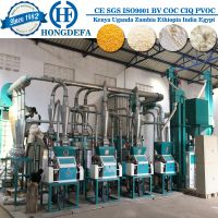   30t per 24h Corn Flour Mill Plant for South Africa