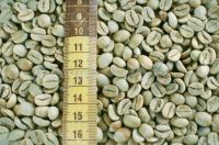 High Quality Arabica Coffee Beans/ Robusta Coffee Beans
