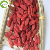 New Arrival Factory Supply Dried Goji Berry