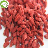 Best Quality Wholesale Dried Low Pesticide Goji Berry