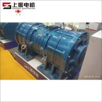 The Biggest Vibrator Motor In The World With 500KN And 32KW