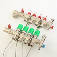 Brass Manifold with flow meter