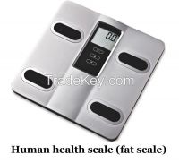 Electronic fat scale