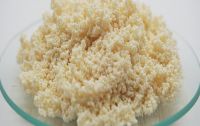 purification resin