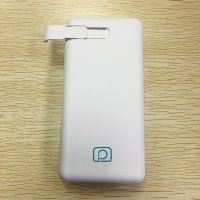 P Mobile Power Charger