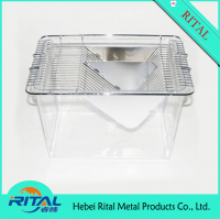 mouse group breeding rat breeding cage
