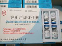Factory price high purity and good quality HCG injection for pregnancy intramuscular gh raw powder Health care products for fitness and bodybuilder whatsapp+86-13359210945