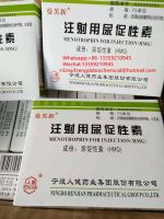 Factory price high purity and good quality HMG injection for pregnancy intramuscular gh raw powder Health care products for fitness and bodybuilder whatsapp+86-13359210945