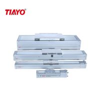 Tiayo  Automatic Vacuum Packing And Printing Linear Module