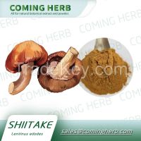 Pure natural Shiitake Mushroom Extract/Shiitake Mushroom Extract Powde