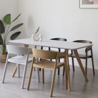 Modern Danish Dining Chair Restaurant Seats