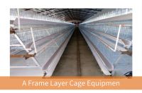 Poultry Broiler stepped cage
