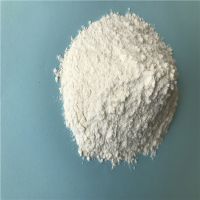 Polyvinylidene fluoride (PVDF) Powder